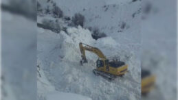 &Ccedil;ığ Nedeniyle K&ouml;y Yolu Ulaşıma Kapandı