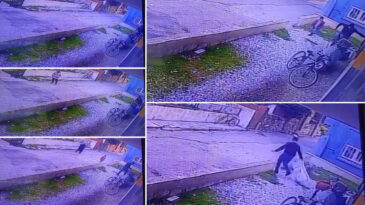 &Ccedil;ocukların G&ouml;zleri &Ouml;n&uuml;nde Bir K&ouml;peğin Acı Sonu