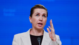 Danimarka: G&uuml;&ccedil; Kullanımına Karşı Değiliz