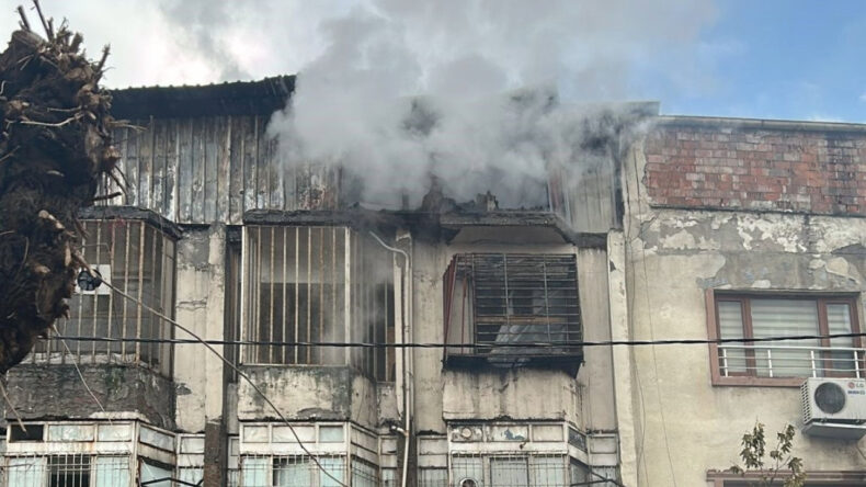 Diyarbakır'da Güvercin Oteli Yangını: 100'den Fazla Kuş Hayatını Kaybetti