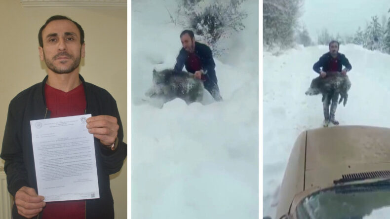 Domuzu Ellerile Yakalayan Kişinin Cezası İptal Edildi