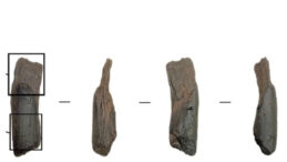 D&uuml;nyanın En Eski Tahta El Aletleri Keşfedildi