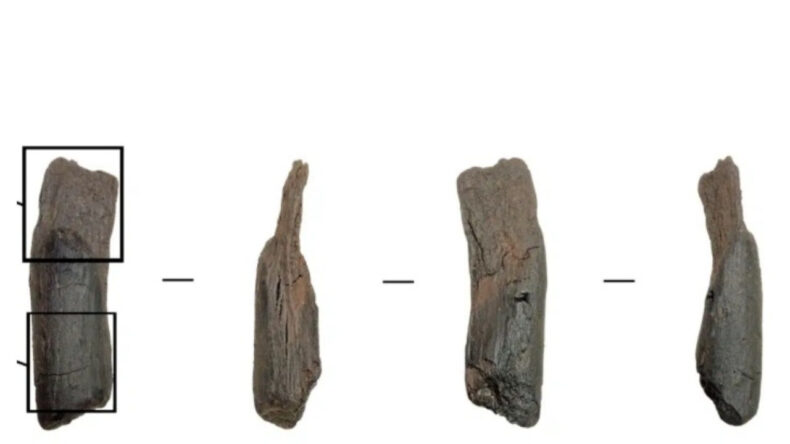 D&uuml;nyanın En Eski Tahta El Aletleri Keşfedildi