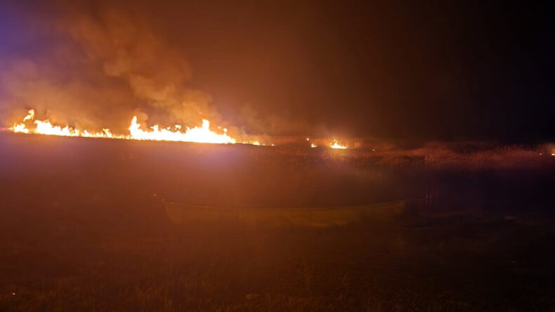 Eber G&ouml;l&uuml;'nde 5 Farklı Noktada Yangın &Ccedil;ıktı