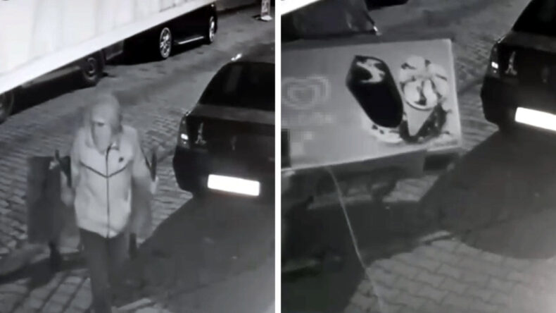 El Arabasıyla Dondurma Dolabını Çaldı