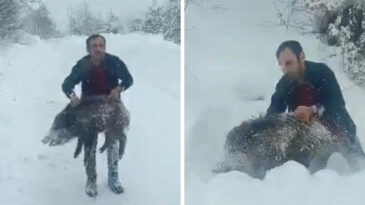 Elle Domuz Yakalamıştı: Kimseye &Ouml;nermiyorum