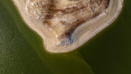 Erdoğan 'Beceriksizler' Dedi, Kurumlar Arasında Tartışma Patlak Verdi