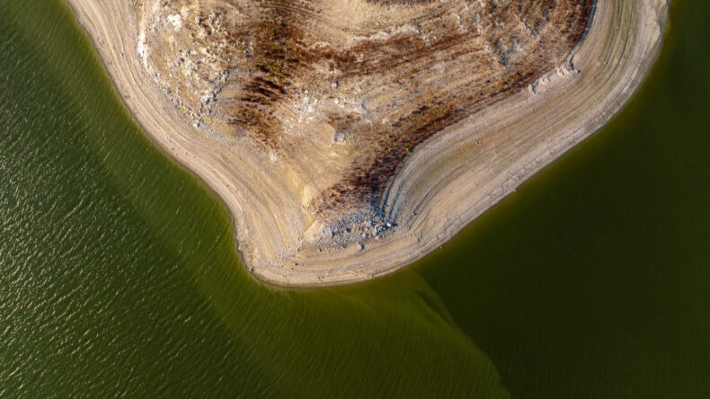 Erdoğan 'Beceriksizler' Dedi, Kurumlar Arasında Tartışma Patlak Verdi