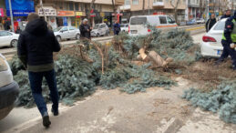 Eskişehir'de Kuvvetli R&uuml;zgar Ağa&ccedil;ları Devrildi