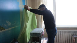 Evinde Arı Kovanı Kurdu