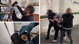 Evinden Kilolarca Bonzai Hammaddesi &Ccedil;ıktı: &ldquo;Uygun Bulduğumda Toplu Alıyorum&rdquo;