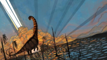 Ezber Bozan Dinozor Araştırması: Tarihi Yeniden Yazılıyor