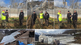 Fırtına sera ve yayla evlerini vurdu