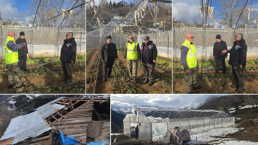 Fırtına sera ve yayla evlerini vurdu