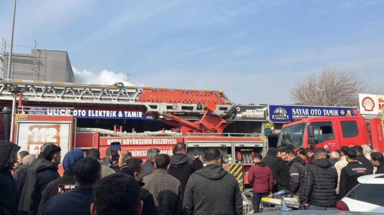 Fotoğrafını çekmek için birbirleriyle yarıştılar