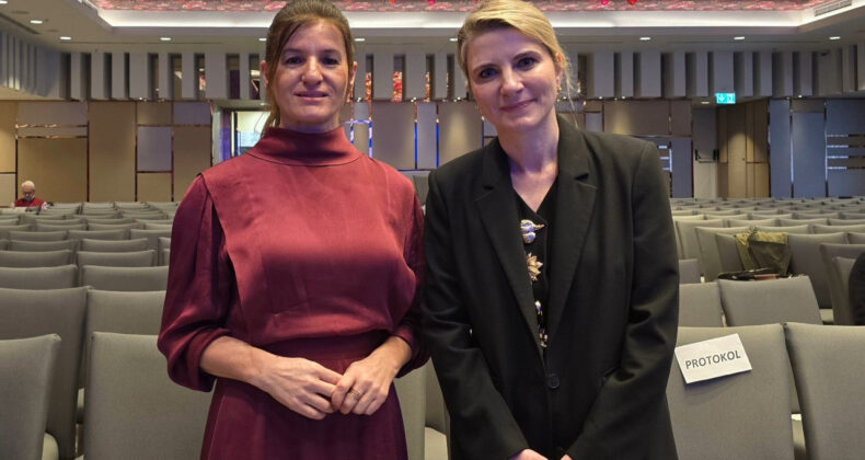 Geçim Kaygısı Kronikleşecek