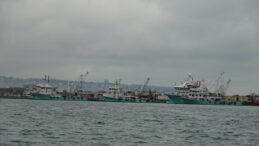 G&ouml;zleri Yollarda Kaldı: Hamsi Fiyatları 20 TL'ye D&uuml;şt&uuml;