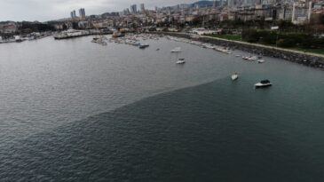 Havadan g&ouml;r&uuml;nt&uuml;lendi: Pendik sahilinde &ccedil;evre felaketi endişesi