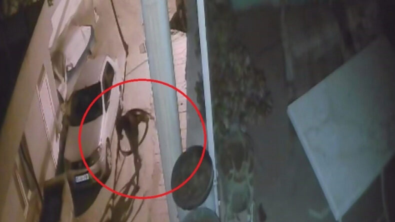 Hem &Ouml;l&uuml;m&uuml; G&ouml;ze Aldılar Hem de Mahalleyi &Uuml;&ccedil; G&uuml;n Elektriksiz Bıraktılar