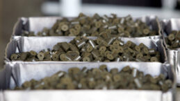 Her Şeyi Yasakladılar, Bir &Uuml;r&uuml;n Hari&ccedil;!