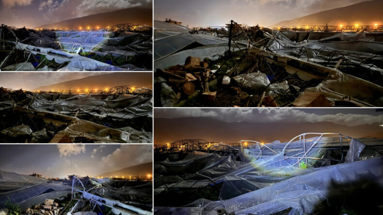 Hortum Seraları Saldırıya Uğrattı