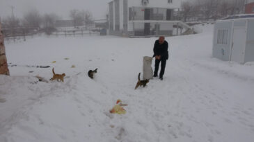 İki Bin N&uuml;fuslu K&ouml;yde Kışın Sadece O Var