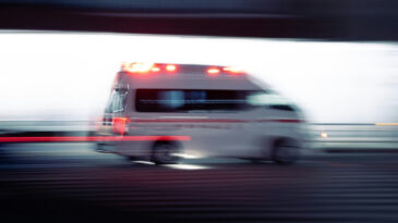 İki Trafik Kazasında 24 Kişi Hayatını Kaybetti