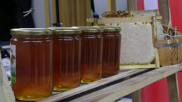 Ilgaz Balı'nın Fiyatı Altını Solladı! D&uuml;nya Rekoru Kırdı…