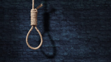 İran'da Casusluk Su&ccedil;lamasıyla İdam Kararı Uygulandı