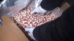 İstanbul'da 1 Milyondan Fazla Uyuşturucu Hap Ele Ge&ccedil;irildi