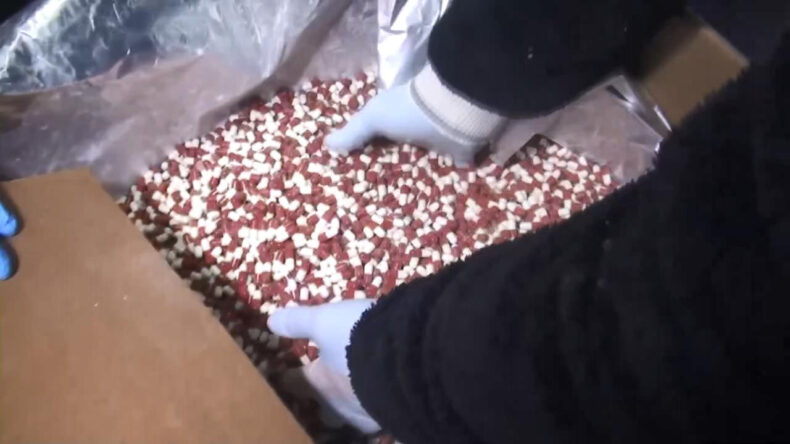 İstanbul'da 1 Milyondan Fazla Uyuşturucu Hap Ele Ge&ccedil;irildi