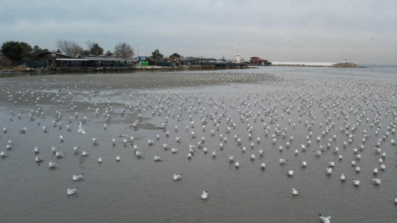 İstanbul'da Deniz Suyunun Seviyesi Metrelerce &Ccedil;ekildi
