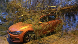 Kadık&ouml;y'de Ağa&ccedil; Ara&ccedil; &Uuml;zerine D&uuml;şerek Hasara Neden Oldu
