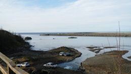 Kafesin Patladığını Duyanlar Sahile Koştu