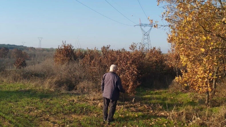 Kamulaştırma davasında emsal 'faiz' kararı