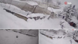 Kar &Ccedil;ift&ccedil;iyi Vurdu, 50 D&ouml;n&uuml;m Sera &Ccedil;&ouml;kt&uuml;