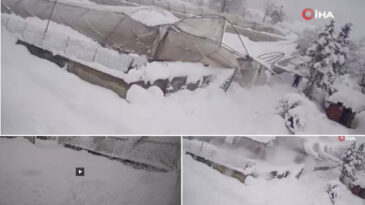 Kar &Ccedil;ift&ccedil;iyi Vurdu, 50 D&ouml;n&uuml;m Sera &Ccedil;&ouml;kt&uuml;