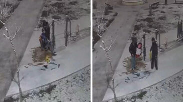 Kar yağarken arkadaşını parka g&ouml;t&uuml;r&uuml;p tıraş etti!