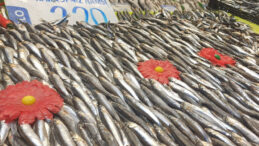 Kar Yağışı Tezgahları Canlandırdı: 220 TL