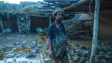 Kar Yağışı ve Sel Felaketi: Onlarca Can Kaybı