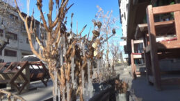 Kars'ta Termometreler Buz Tuttu