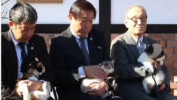 Kediler 'İstasyon Şefi' Olarak G&ouml;reve Başladı, Turist Akını Başladı