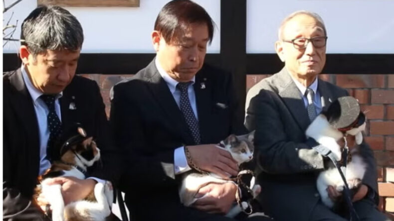 Kediler 'İstasyon Şefi' Olarak G&ouml;reve Başladı, Turist Akını Başladı