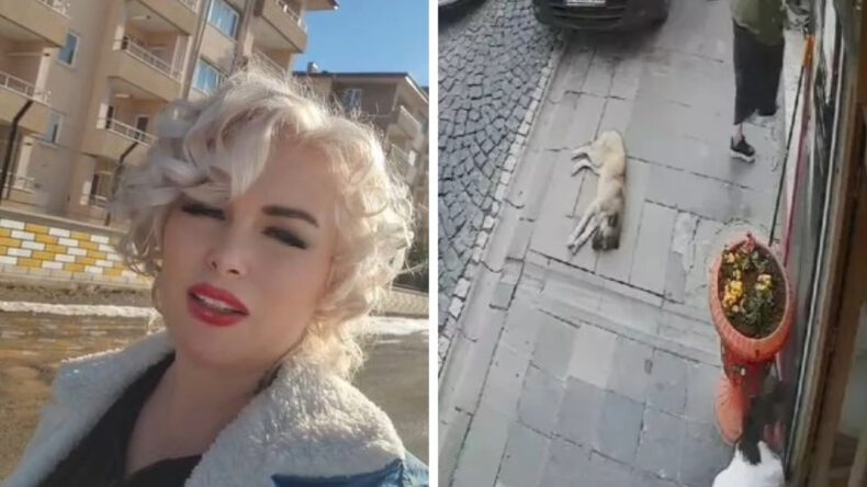 K&ouml;peği Ezen Taksicinin Videosunu Paylaşan Kadın Hapse Girdi