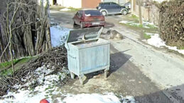 K&ouml;peği Ezmişti, Yakalandı