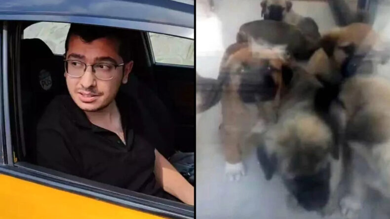 K&ouml;pek İstismarı Davasında İstinaf Kararı İptal Edildi