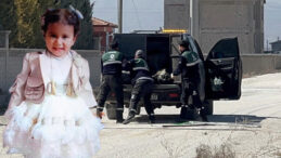 K&ouml;pek Saldırısında Hayatını Kaybeden Rana İ&ccedil;in Soruşturma İzni