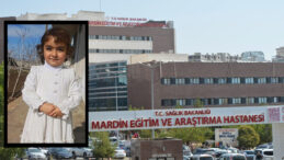 K&ouml;peklerin Saldırısına Uğrayan &Ccedil;ocuğun Durumu Kritik