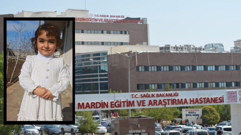 K&ouml;peklerin Saldırısına Uğrayan &Ccedil;ocuğun Durumu Kritik