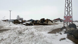 K&ouml;pekte Kuduz Vakasının Tespiti, K&ouml;y Karantinaya Alındı